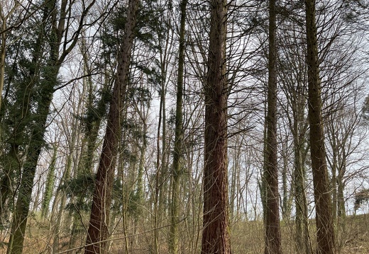 20220325073935-cd2ffed0